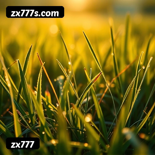 zx777 bônus R$5.000 + 500 giros - Rollover 35x, prazo 30 dias, 38% taxa conversão